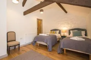 Ida Cottage, Dartmoor, near Tavistock - Brentor