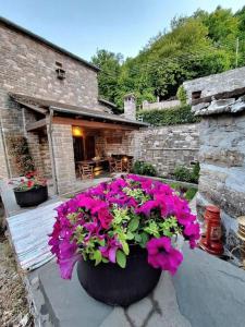 Cozy Nest House Δίκορφο Ζαγορίου