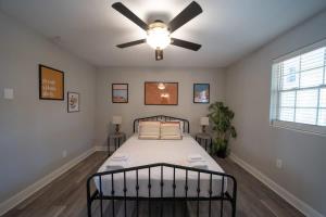 OV Mosaic - Rain Suite