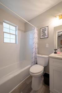 OV Mosaic - Rain Suite