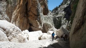 COMIDA Guesthouse & Experiences img15