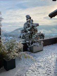 Chalet Villa Piscine vue panoramique sur Gérardmer et le Hohneck