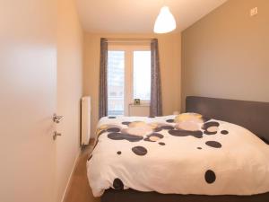 Apartment in Belgium with Sea Views