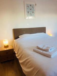 Swiss Chalet Feniks by Jolidi