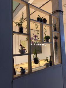 Positive Energy Homestay and Guide in Chiangkhan