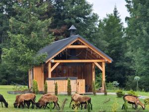 Beskidzka Stodoła przy szlaku z pięknym widokiem