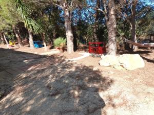 Agriturismo La Barca In Secca img49