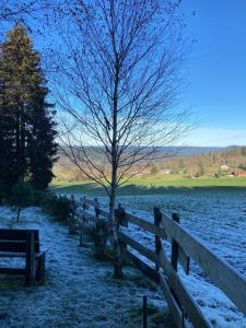 Chalets Chalet authentique au calme, en lisiere de foret, montagne, sentiers 15mn Gerardmer & Alsace 
