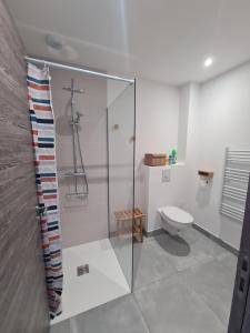 Maisons de vacances Maison proche de la coulee verte et commodites : photos des chambres