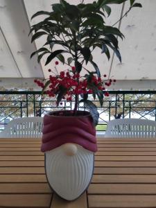 The cozy seaside apartment