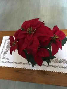 Gite chez Annette et Pierre Weber - Valff