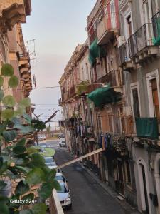 Zebra a Pua Boutique Apartment