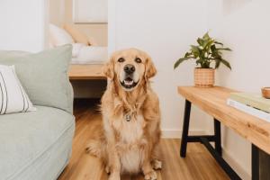 Tiny Home in Scottsdale