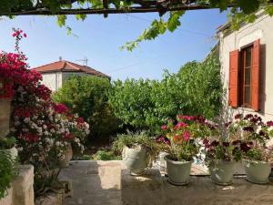 Sergios Village House