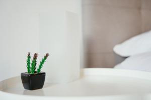 CIVICO 15 BED BREAKFAST