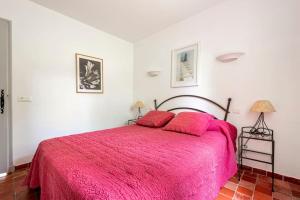 Le cabanon, 3 étoiles, sa piscine au pied du Luberon