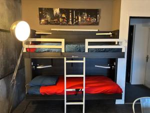 Appartements Appart Nausicaa en plein centre-ville : photos des chambres