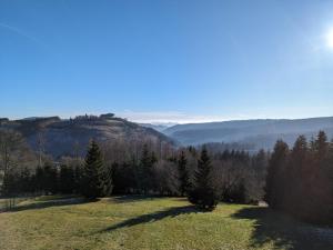 Studio Apartment (2 Adults) room in Appart-Hotel Harmonie