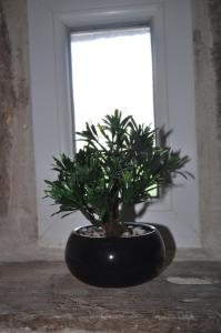 Creusoé