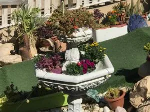 סוויטות עין השמש eye sun - 尼夫佐哈