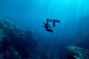 Isola Sarda Appart COSY img41