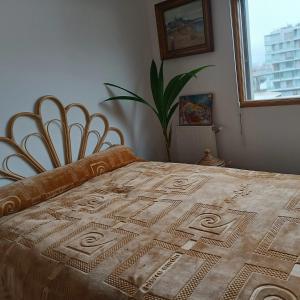 Appartement familial à L’Île-Saint-Denis, 67 m², balcon privé