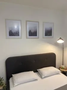 Kosenko apartments - Strizhevka