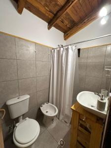 Complejo Alkimia Cabaña Catedral