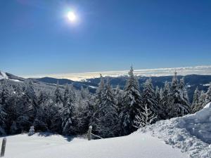Albergo Rifugio La Grande Baita