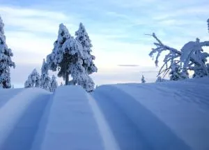 Fulufjellshjørnet - Snø - Alpint - Langrenn - Snøscooter - aking - Ljørdal