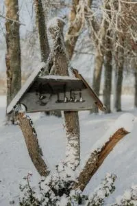 Vilki - Žocenes Ciems