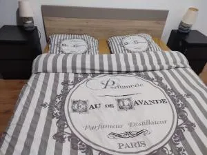 Grand Appartement chaleureux - Pichanges