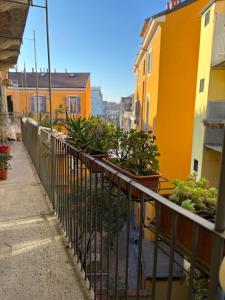 La Vecchia Milano-Les Nubles Vannucci - Il Ballatoio e Il Cortile