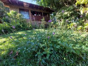 Mandalas Ecolodge Ecotourismo Altos Cerro Azul, Rain Forest Natural,Chagres National Park