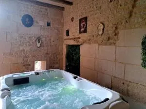 Gîte insolite dans un moulin à eau avec spa privatif - Vibrac Gîte insolite dans un moulin à eau avec spa privatif - Vibrac