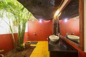 Mariposa Beach Grove