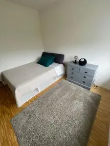 Professional working room - Luins