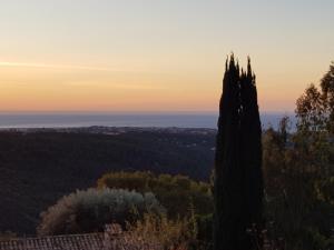 Appartements Appartement VUE MER an der Cote d-Azur fur 2-3 Personen mit Gartenanteil : photos des chambres