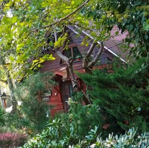 Apartament SECESJA - Antonin