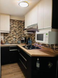 PM Tranquilo y cómodo depa Roma Sur con todo!