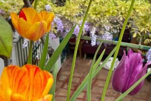 Casa Almenta - Tu hogar para desconectar en el pueblo más bonito de Málaga