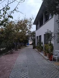 İznik Anatolia Butik Otel - 埃利特温泉