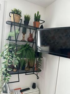 Sejours chez l'habitant Exotic & Cosy room proche Roissy Cdg Airport : photos des chambres