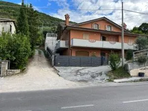 Camelia - Pietralunga