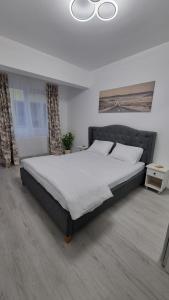 Cozy Apartment Pallady