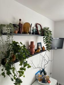Sejours chez l'habitant Cosy & Style blue forest room proche CDG AirPort : photos des chambres