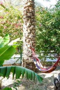 Nature House - 拜赫莱