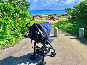 Ishigaki - House - Vacation STAY 9832