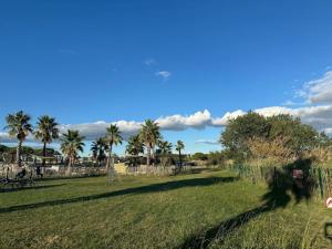 Maisons de vacances Joli Bungalow 464 pour 4-6 pers Camping Siblu Lac des Reves Lattes : photos des chambres