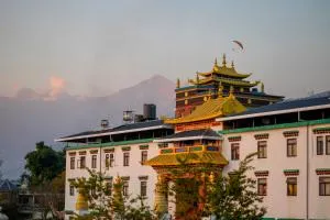 Chokling ArtHouse - The Treasure of Himalayas - Aiju